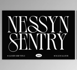 Download Nessyn Sentry Font