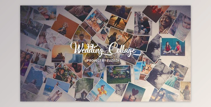 Download Wedding Collage (Videohive 21895757) - AE Project