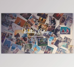 Download Wedding Collage (Videohive 21895757) - AE Project