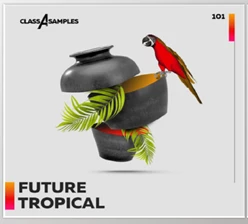 Download Class A Samples Future Tropical (WAV, MiDi)