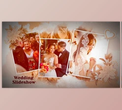 Download Ink Wedding Slideshow (Videohive 47152761)