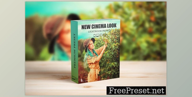 Download Steal Film Cinematic Look Lightroom Presets ALTDAEM