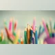 Download Houdini 19.5, UE5 – Procedural Stylized Pencil Case(s) + RBD