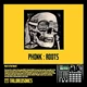 Download Tailoredsonics Phonk:Roots Drum Kit (WAV)