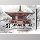 Download 91 Procreate Japanese Ink Brushes