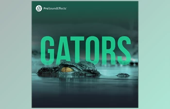 Download Pro <span class='badge badge-warning'>Sound</span> <span class='badge badge-warning'>Effects</span> Gators