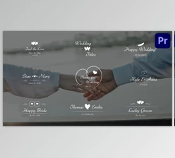 Download Elegant Wedding Titles (Videohive 47250828)