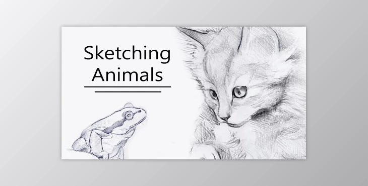 Download Sketching Animal Portraits – 5 Exercises to Help you ‘See Like an Artist’