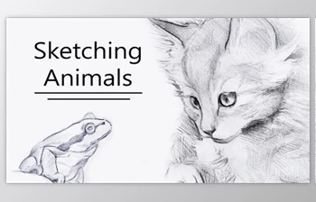 Download Sketching Animal Portraits – 5 Exercises to <span class='badge badge-warning'>Help</span> you ‘See Like an Artist’