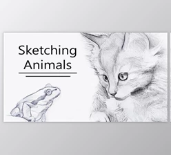 Download Sketching Animal Portraits – 5 Exercises to Help you ‘See Like an Artist’