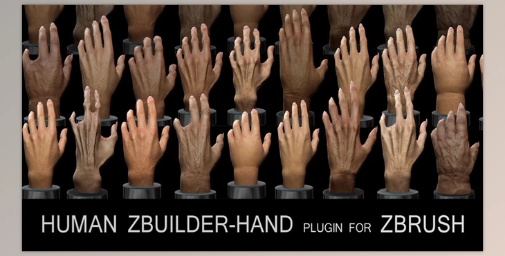Download Human Zbuilder – Hand