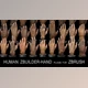 Download Human Zbuilder – Hand