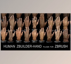 Download Human Zbuilder – Hand