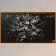 Download Artstation – JAWS – 33 Monster Mouths ‘n Skulls & IMM Brush Pack