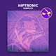 Download Dabro Music Samples Hiptronic Samples (WAV, MiDi)