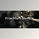Download frischluft - AEX bundle 2023.6 CE (WIN)