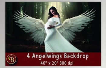 Download <span class='badge badge-warning'>4</span> Angelwings Backdrops 40×20″ 300dpi