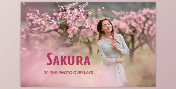 Download 30 Sakura Photo Overlays