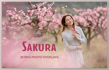 Download 30 Sakura Photo <span class='badge badge-warning'>Overlays</span>