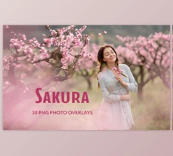 Download 30 Sakura Photo Overlays