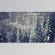 Download Winter Snow Covered Cone Trees on Mountainside (Videohive 47581723)