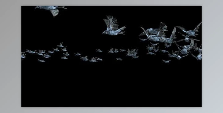 Download 20 Crow Bird Bat Flying HD (Videohive 47633191)
