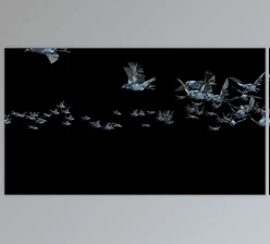 Download 20 Crow Bird Bat Flying HD (Videohive 47633191)