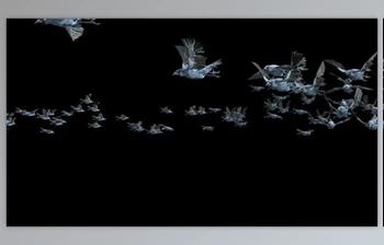Download 20 Crow Bird Bat <span class='badge badge-warning'>Flying</span> HD (<span class='badge badge-warning'>Videohive</span> 47633191)