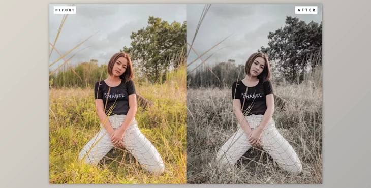 Download Dark Professional Lightroom Presets RC846AP