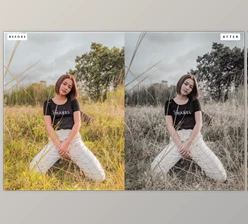 Download Dark Professional Lightroom Presets RC846AP