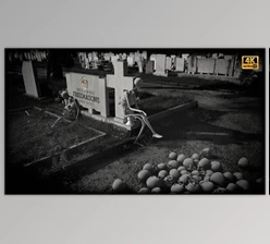 Download Skull and Bones – Scary Halloween Opener (Videohive 39584382) - AE Project