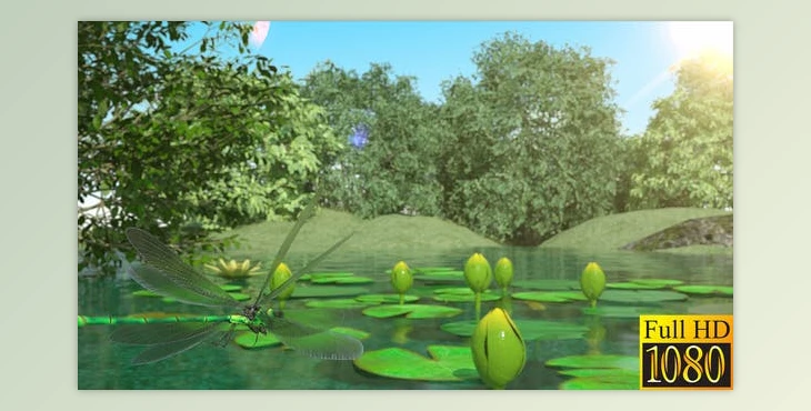 Download Lilies and Dragonfly (Videohive 40026892) - AE Project