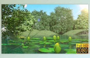 Download Lilies and Dragonfly (Videohive <span class='badge badge-warning'>40026892</span>) - AE Project