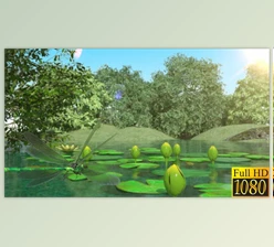 Download Lilies and Dragonfly (Videohive 40026892) - AE Project