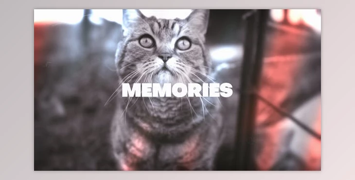 Download Memories Looks (Videohive 47621079) - AE Project