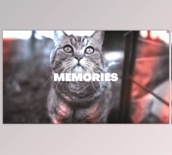 Download Memories Looks (Videohive 47621079) - AE Project