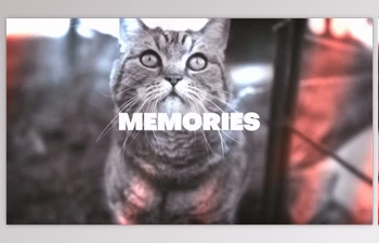 Download Memories <span class='badge badge-warning'>Looks</span> (Videohive 47621079) - AE Project