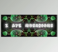 Aescripts - Download I Ate Mushrooms v1.8.46 (Win, Mac)