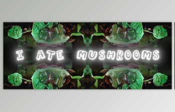 <span class='badge badge-warning'>Aescripts</span> - Download I Ate Mushrooms v1.8.46 (<span class='badge badge-warning'>Win</span>, Mac)