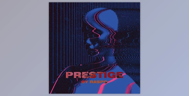 Download Raspo Prestige Drum Kit 2022 (WAV)