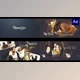 Download Memories Slideshow for After Effects (Videohive 47992146) - AE Project