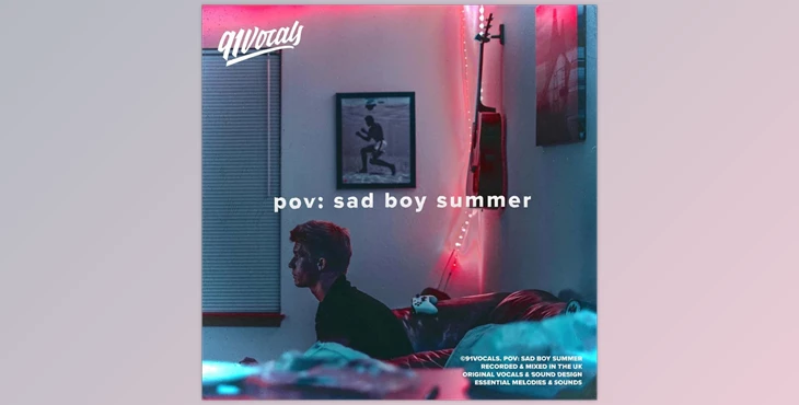 Download 91Vocals pov sad boy summer (WAV)