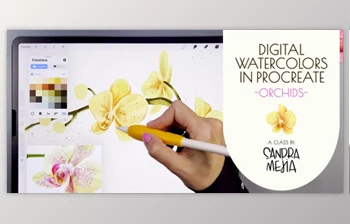 Download Digital Watercolors in <span class='badge badge-warning'>Procreate</span> – Orchids