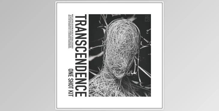 Download HZE Transcendence (One Shot Kit) WAV