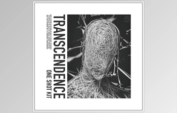Download HZE Transcendence (One Shot <span class='badge badge-warning'>Kit</span>) WAV