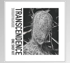 Download HZE Transcendence (One Shot Kit) WAV