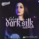 Download 91Vocals Salvo Dark Silk Vocals (WAV)