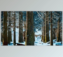 Download Winter Calm Forest at Sunny Day (Videohive 47581214)