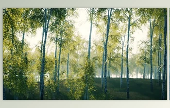 Download Summer July <span class='badge badge-warning'>View</span> of Birch Grove in Sunlight (Videohive 47581895)