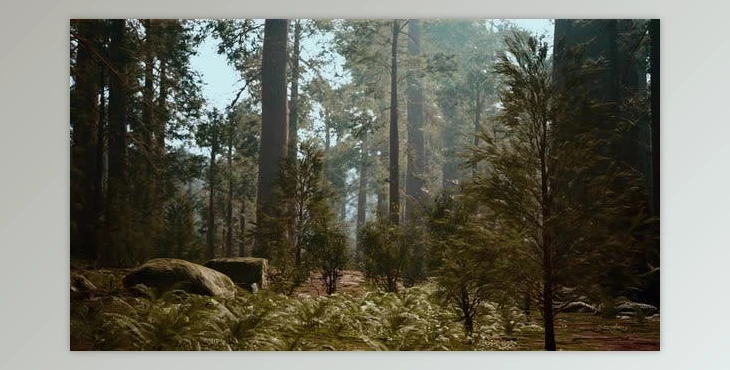 Download Tall Forest of Sequoias in Yosemite National Park (Videohive 47581270)